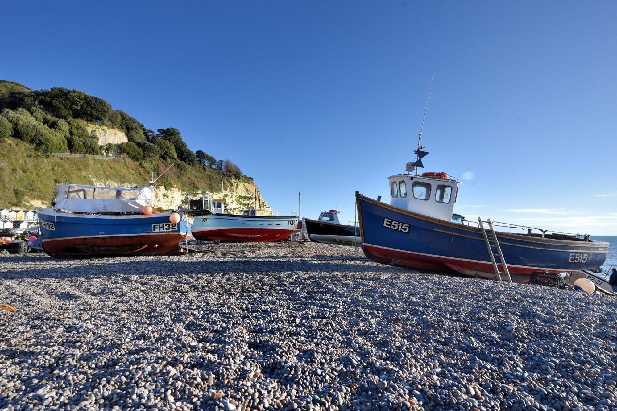 Seaweed Villa Sidmouth Eksteriør billede