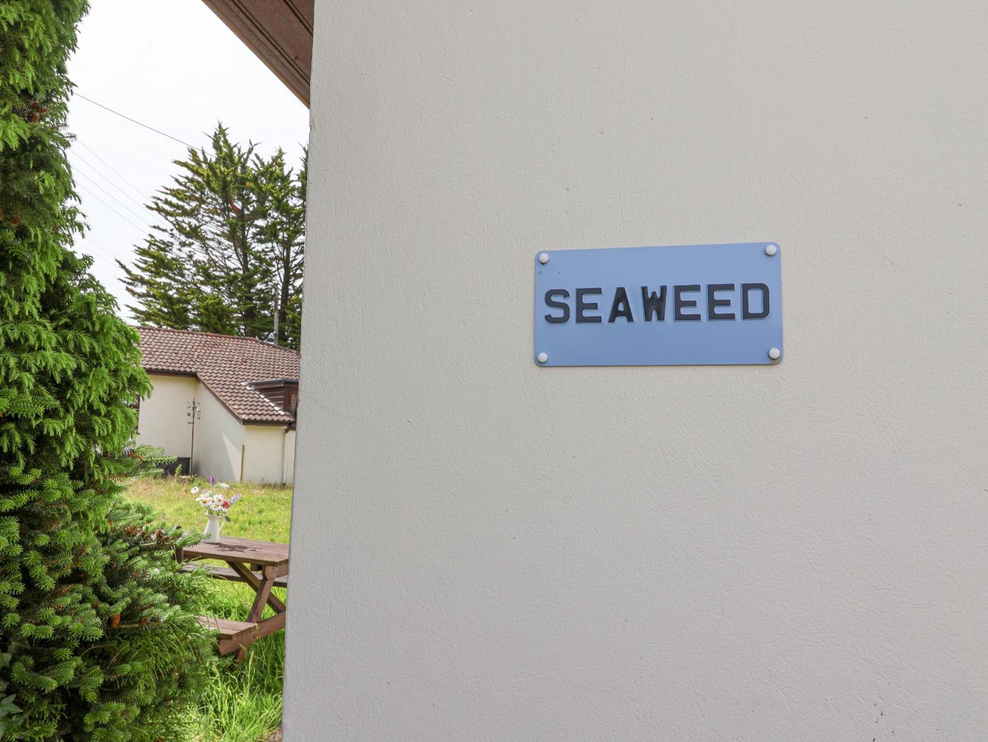 Seaweed Villa Sidmouth Eksteriør billede